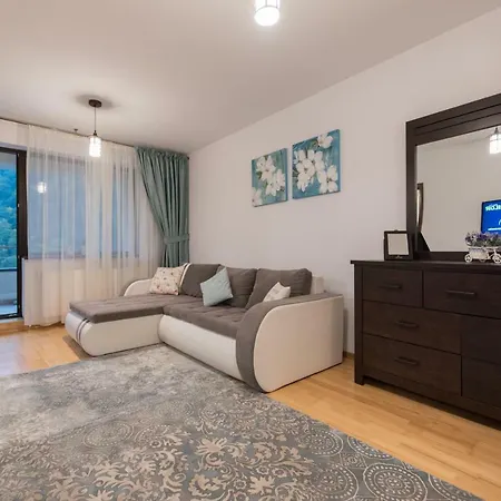 Apartment Colina Marei Sinaia