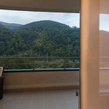 Apartment Colina Marei Sinaia