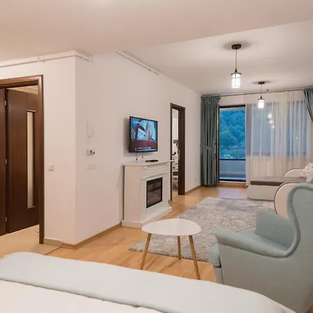 Apartment Colina Marei Sinaia